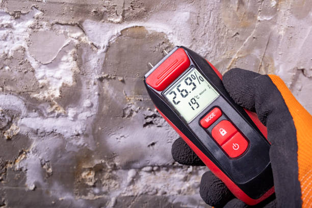Reliable Hazel Dell, WA Mold Removal Solutions