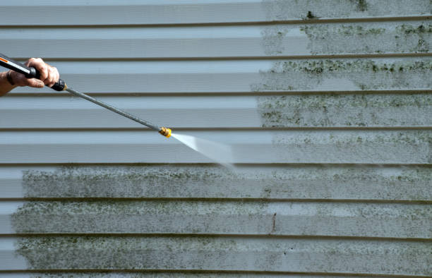 Best Residential Mold Removal  in Hazel Dell, WA